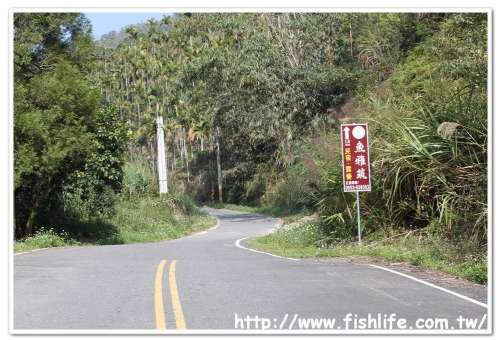 道路縮小