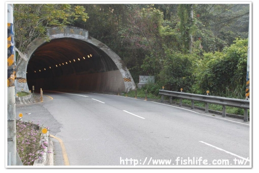 經過大雁隧道 經過大雁隧道