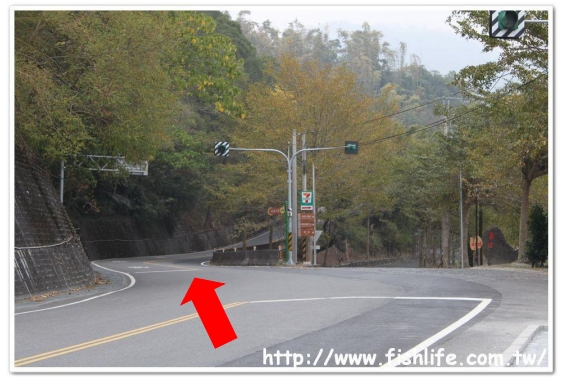 再繼續直走(右轉是往車埕 再繼續直走(右轉是往車埕
